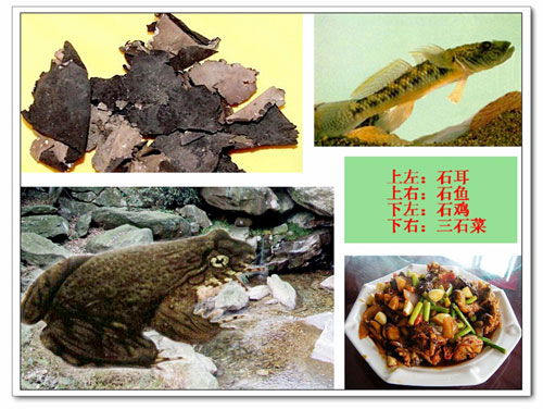 三石成为上等菜
