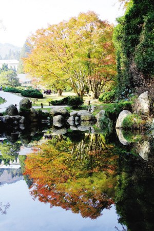 秋日庐山植物园