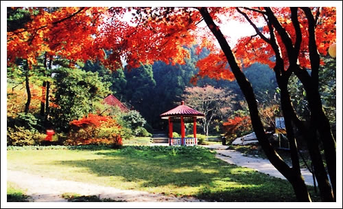 庐山花径公园
