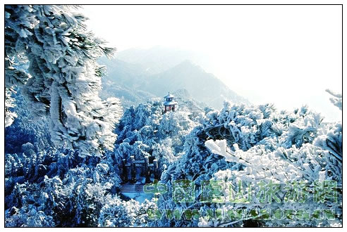 庐山含鄱口雾凇