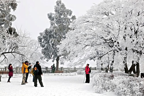 游客们在冰雪中留影