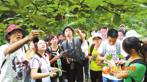 庐山采集植物标本