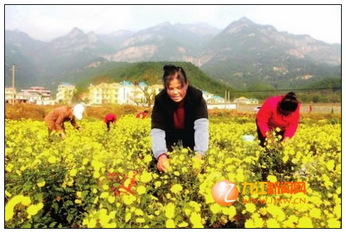 庐山山南:采菊东篱下 悠然见南山