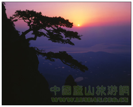 庐山迎客松日出 孟宪洪摄