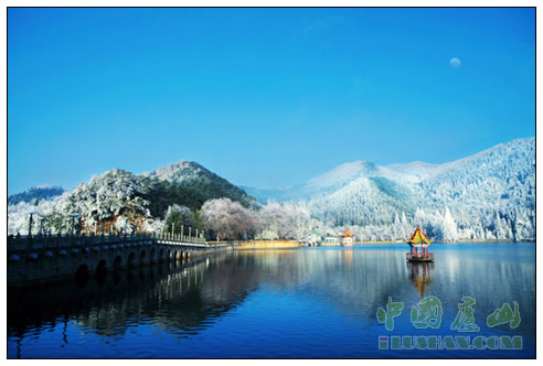 如梦芦林 漆跃峰摄