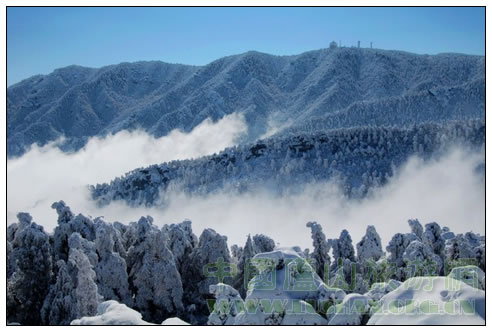 南国冬韵 冰雪庐山