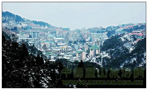 庐山牯岭冬景