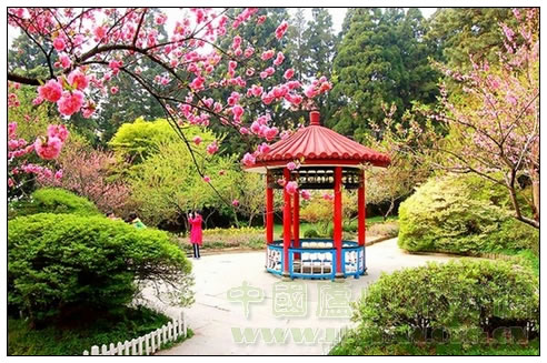 庐山花径