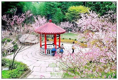 庐山花径