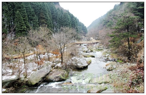 人行栈道