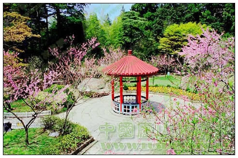 庐山白司马花径