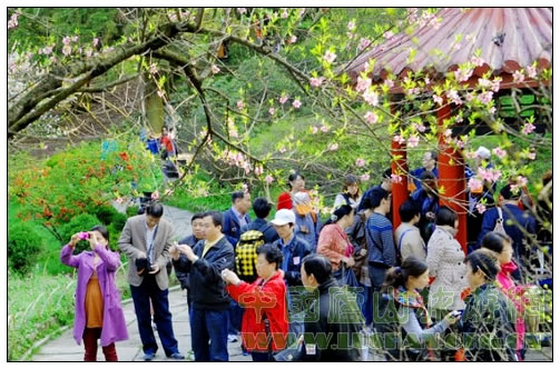 庐山花径游客如织