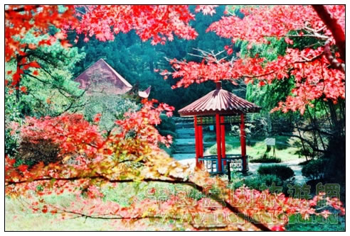 庐山花径秋色(孟宪洪摄)