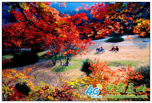庐山主要景区景点实现4G信号全覆盖
