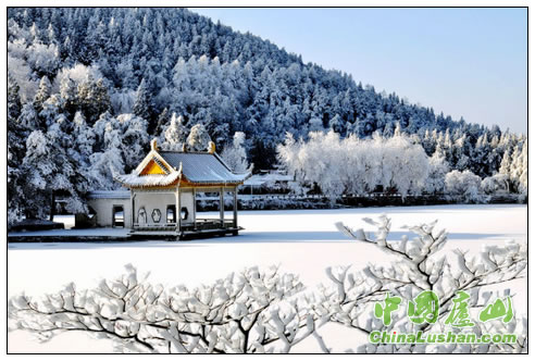 如琴雪霁 李忠东摄