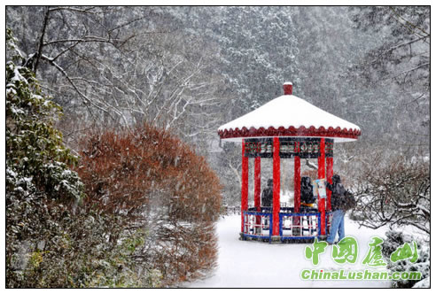 瑞雪寻游 李忠东摄