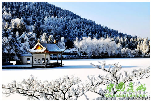 如琴雪霁 李忠东摄