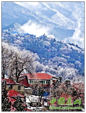 雪后庐山 楼颖摄