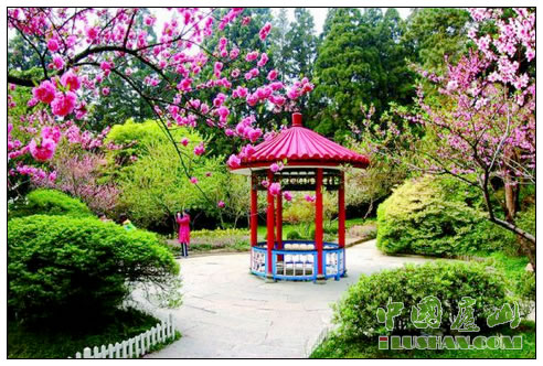 花径桃花 钟桦摄
