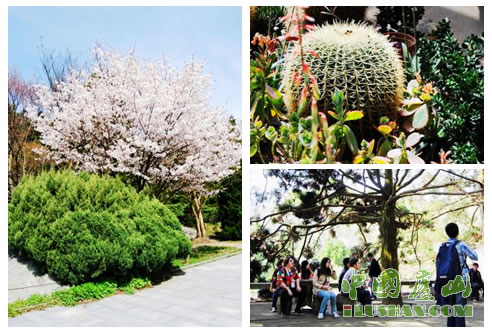 庐山植物园花团锦簇 全国网媒记者拥抱大自然