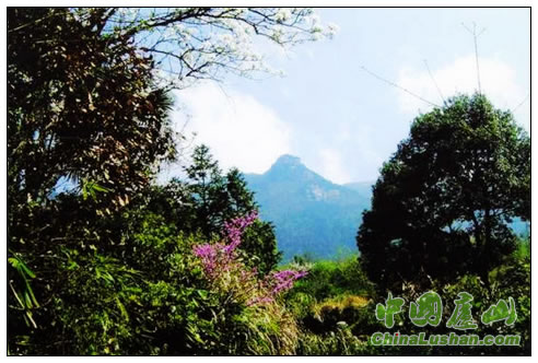 远眺庐山香炉峰