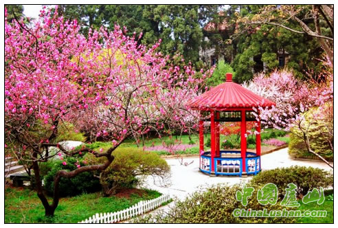 山寺桃花始盛开 何立新摄