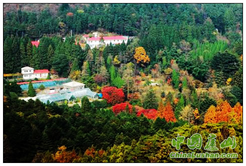 庐山植物园网上展馆喜获“江西省人民政府动漫奖”