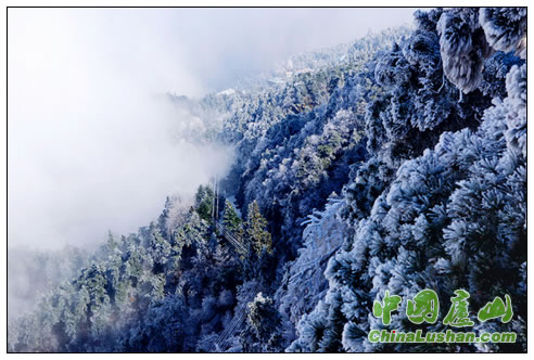 雪霁染庐山 贾长江摄