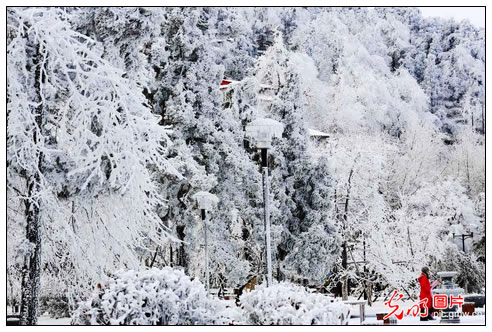 2014年2月8日,游客在江西庐山欣赏春季雾凇奇观。