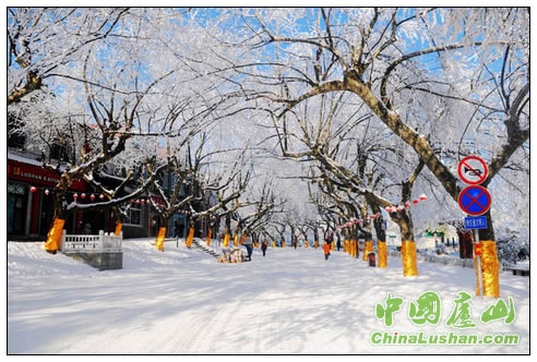庐山雪韵 沈双武摄