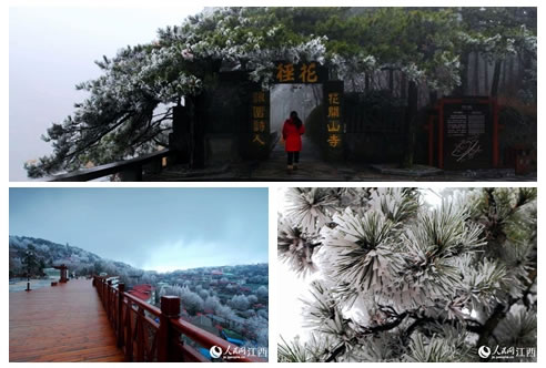 庐山雨淞 玉树银花