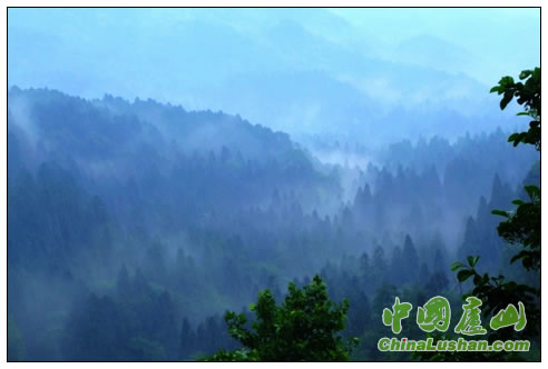 雨雾庐山 林家孟摄