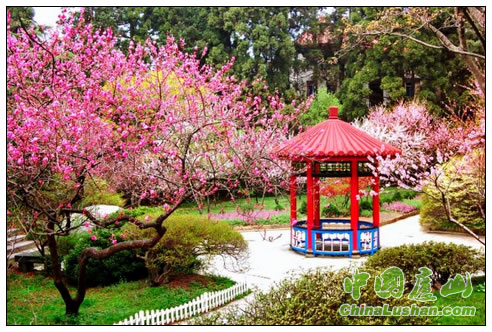 山寺桃花始盛开 何立新摄