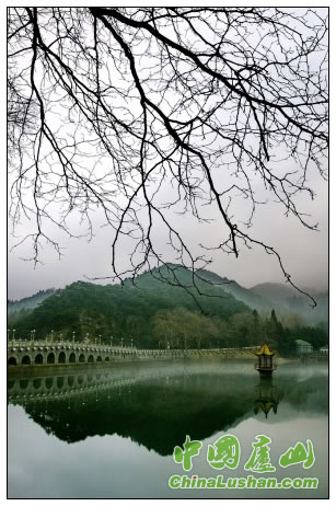 烟雨庐山 霍国军摄