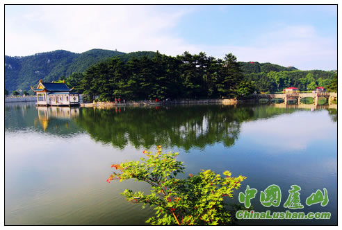 如琴夏之绚 贾长江摄