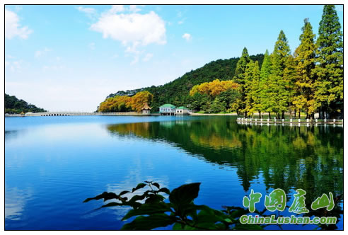 平湖初秋 李沪生
