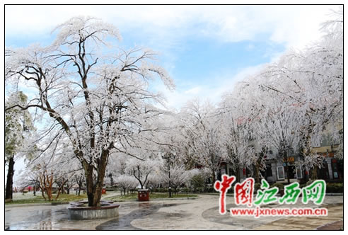 入冬后庐山首现雾凇雨凇美景 宛如童话世界