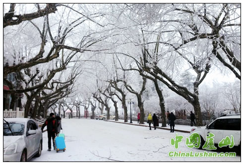 冰雪庐山 景色宜人