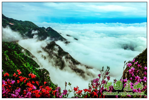 山花烂漫 殷锡翔