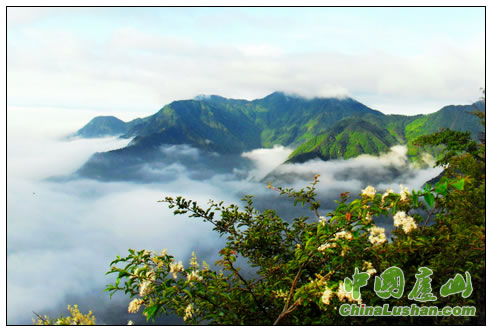 雨雾漫山颠 刘奕瑶
