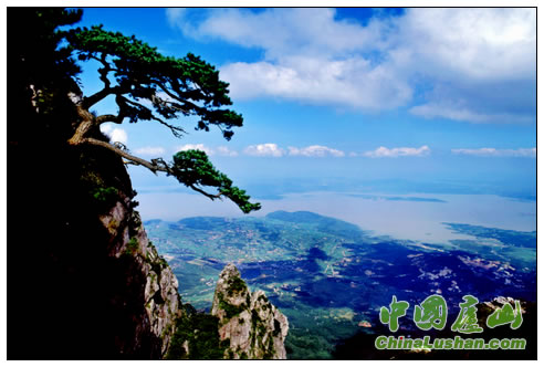 匡庐劲松 殷锡翔摄
