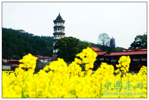 庐山西林寺 殷锡翔摄