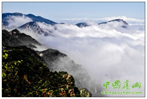 庐山云涛 李敏