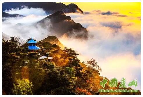 秋山如醉
