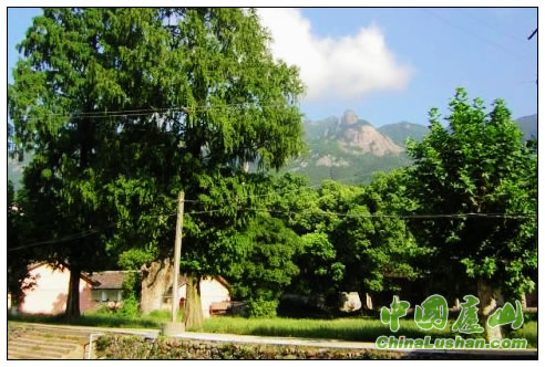 庐山市重建归宗寺