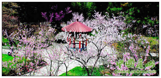 花径春色 李敏