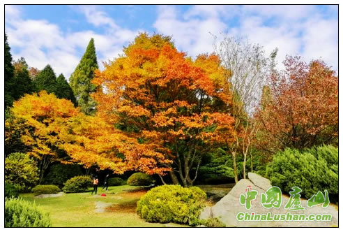 庐山植物园秋景