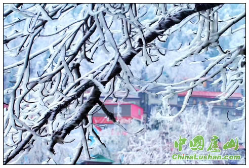 庐山风景区天寒景美服务优