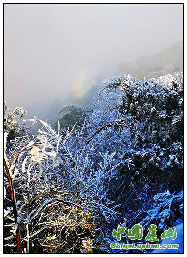 庐山雪霁红阳云海日晕齐现