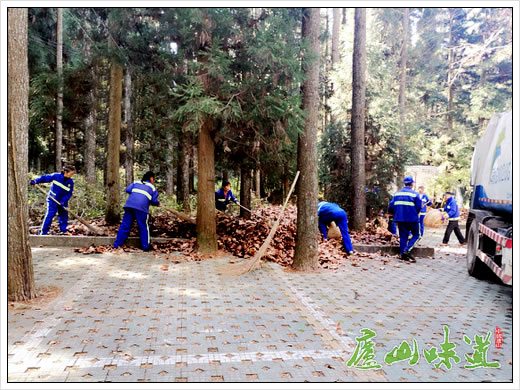 庐山环卫所清理枯枝落叶消除火灾隐患确保庐山景区安全